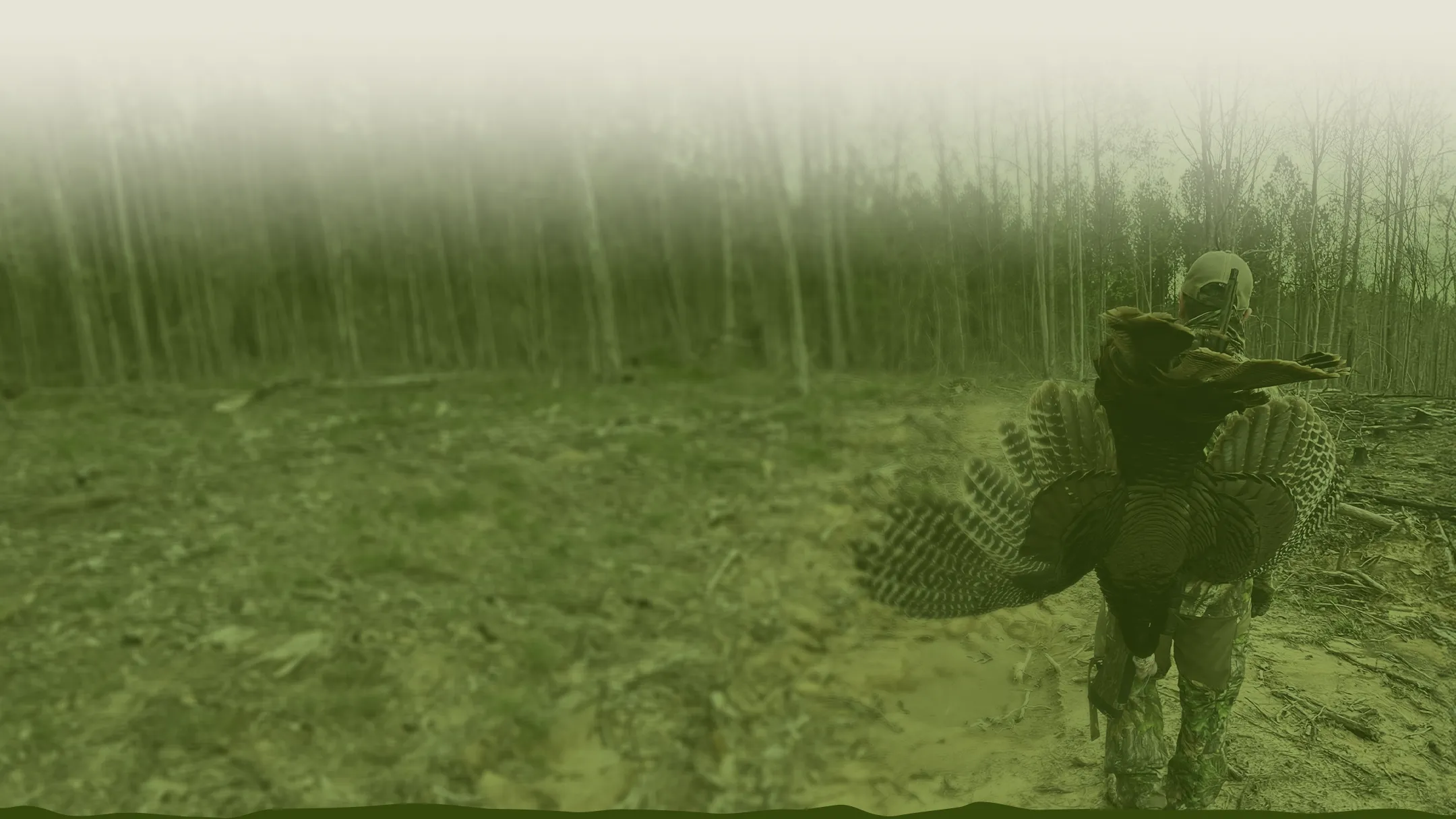 Jim Greene on turkey hunt in wooded area in North Alabama