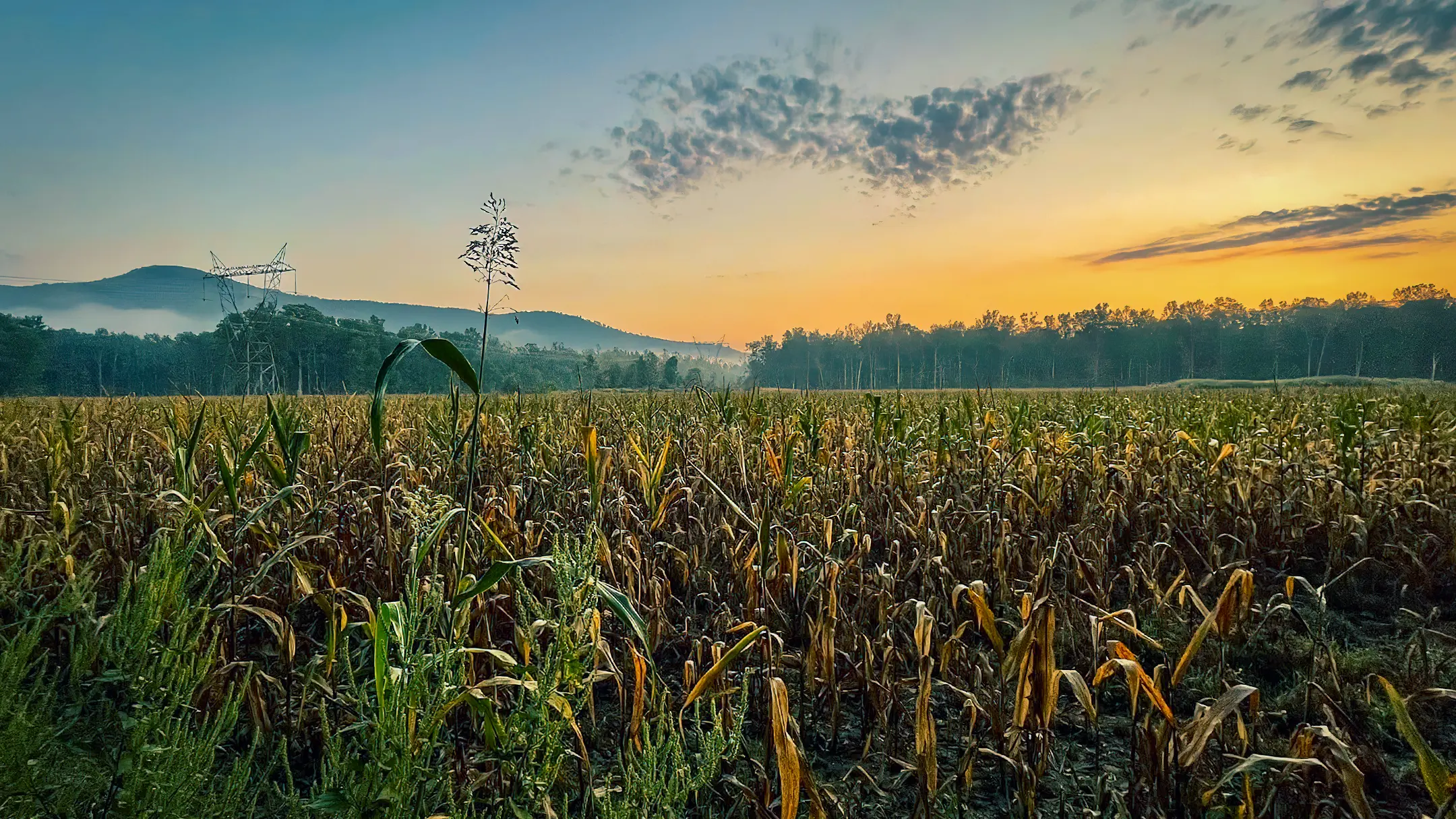 View of rural farmland with open fields in North Alabama
