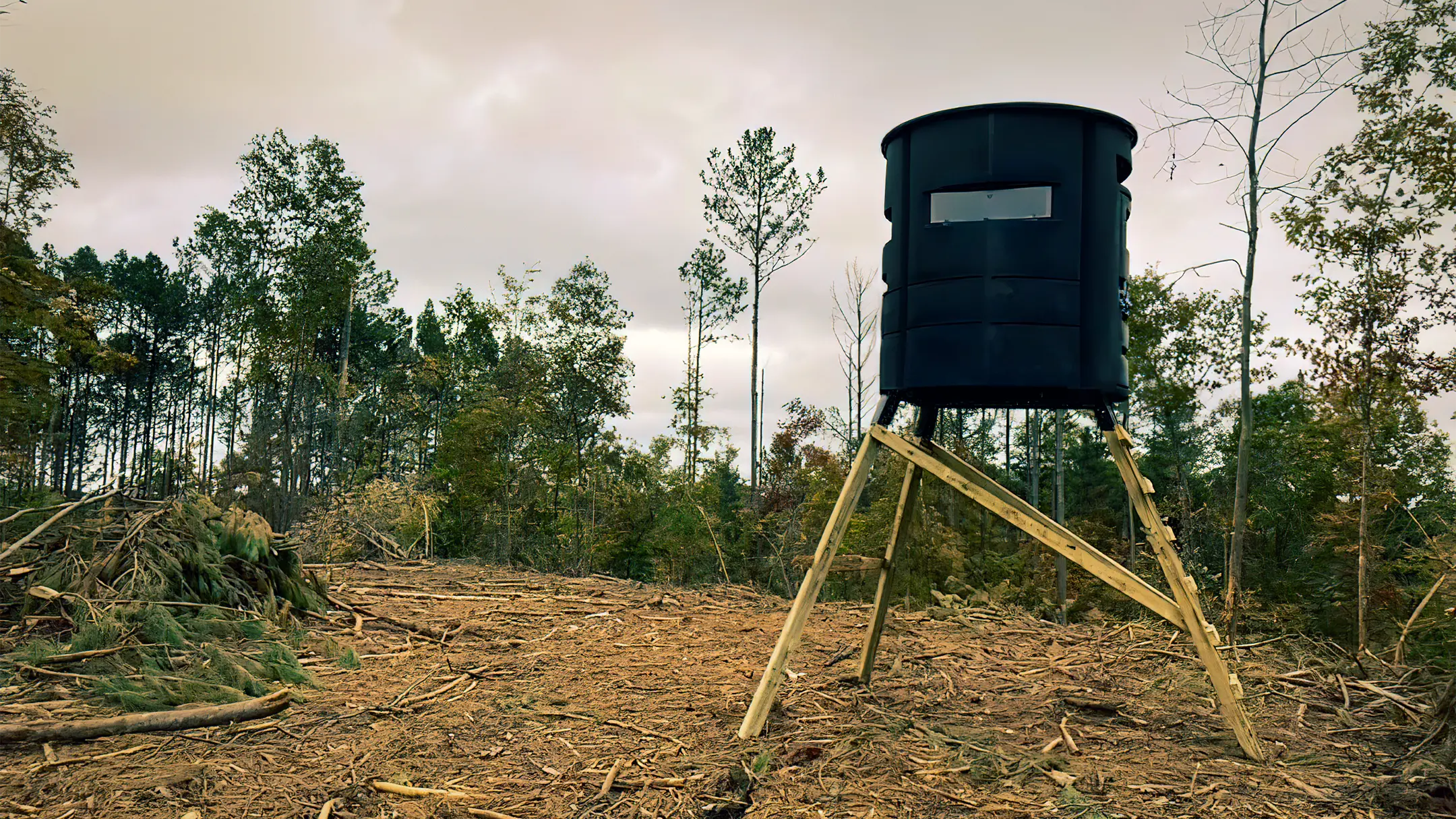 Cleared land prepped for hunting with deer stand installed by Jim Greene