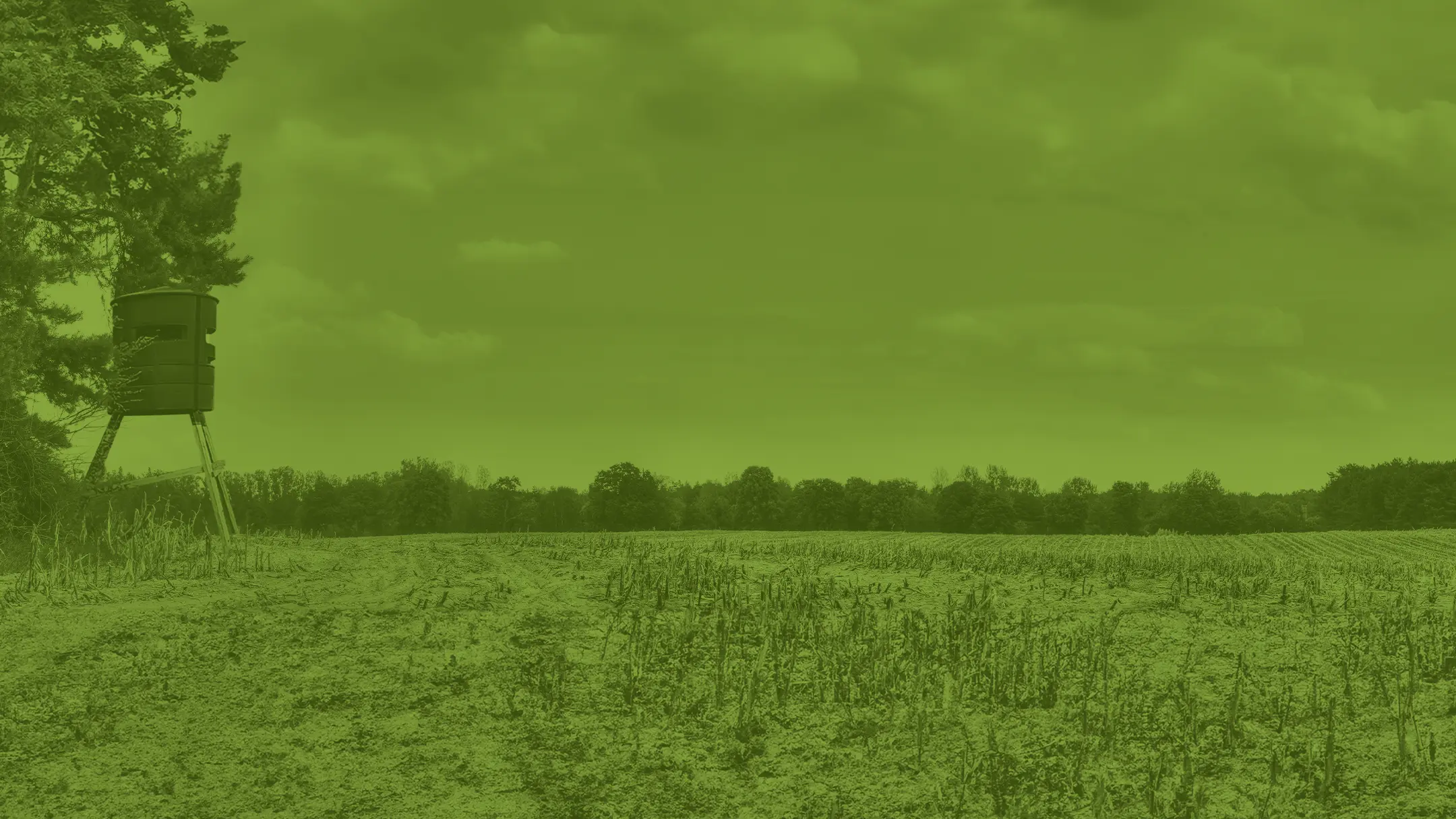 Hunt-ready field with shooting house installed by Greene Land Management
