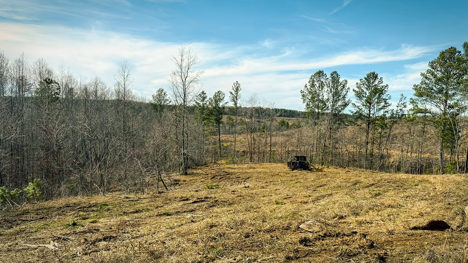 Wooded and brushy area after land management by Jim Greene