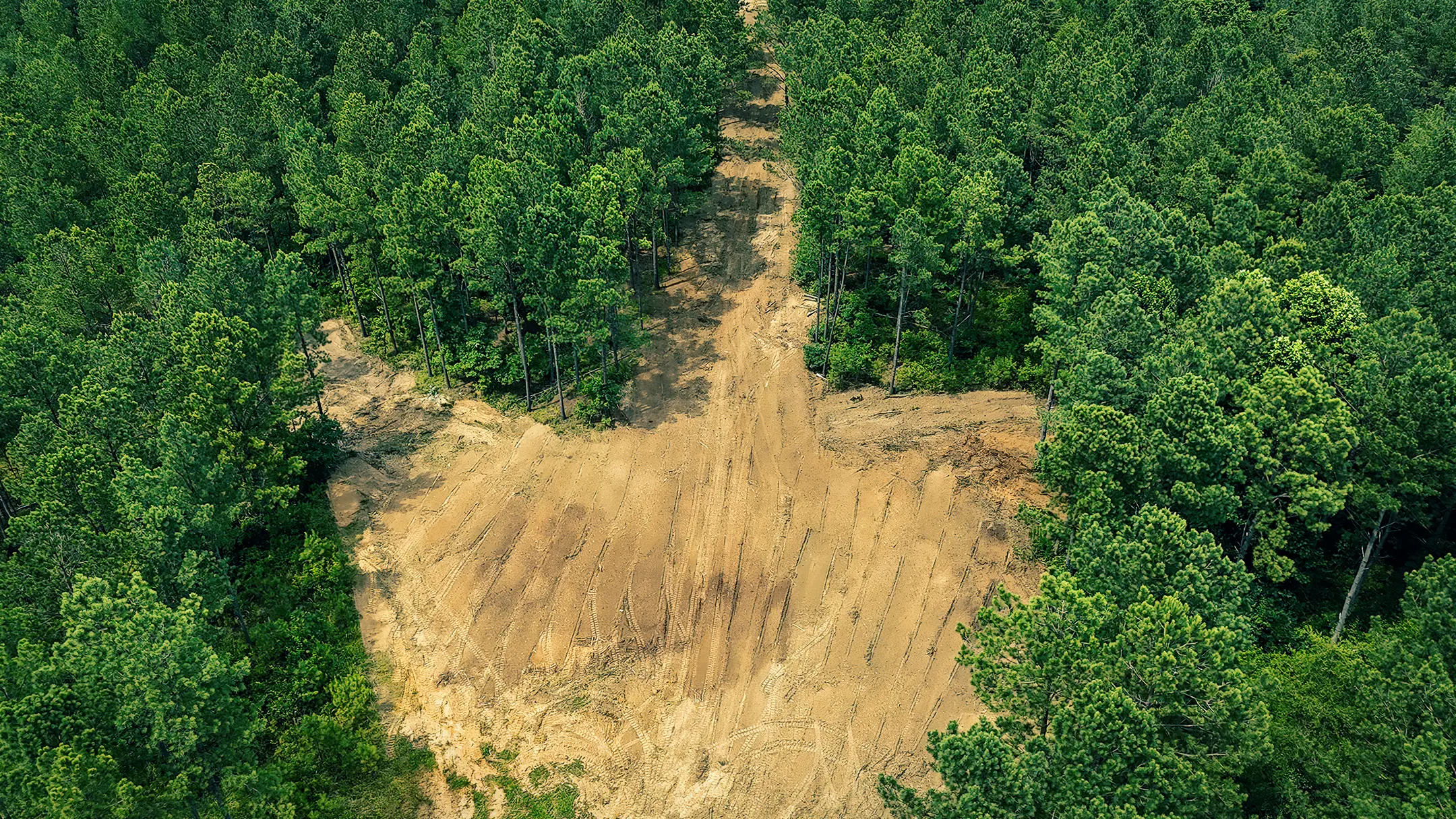 North Alabama land clearing for property access by Jim Greene