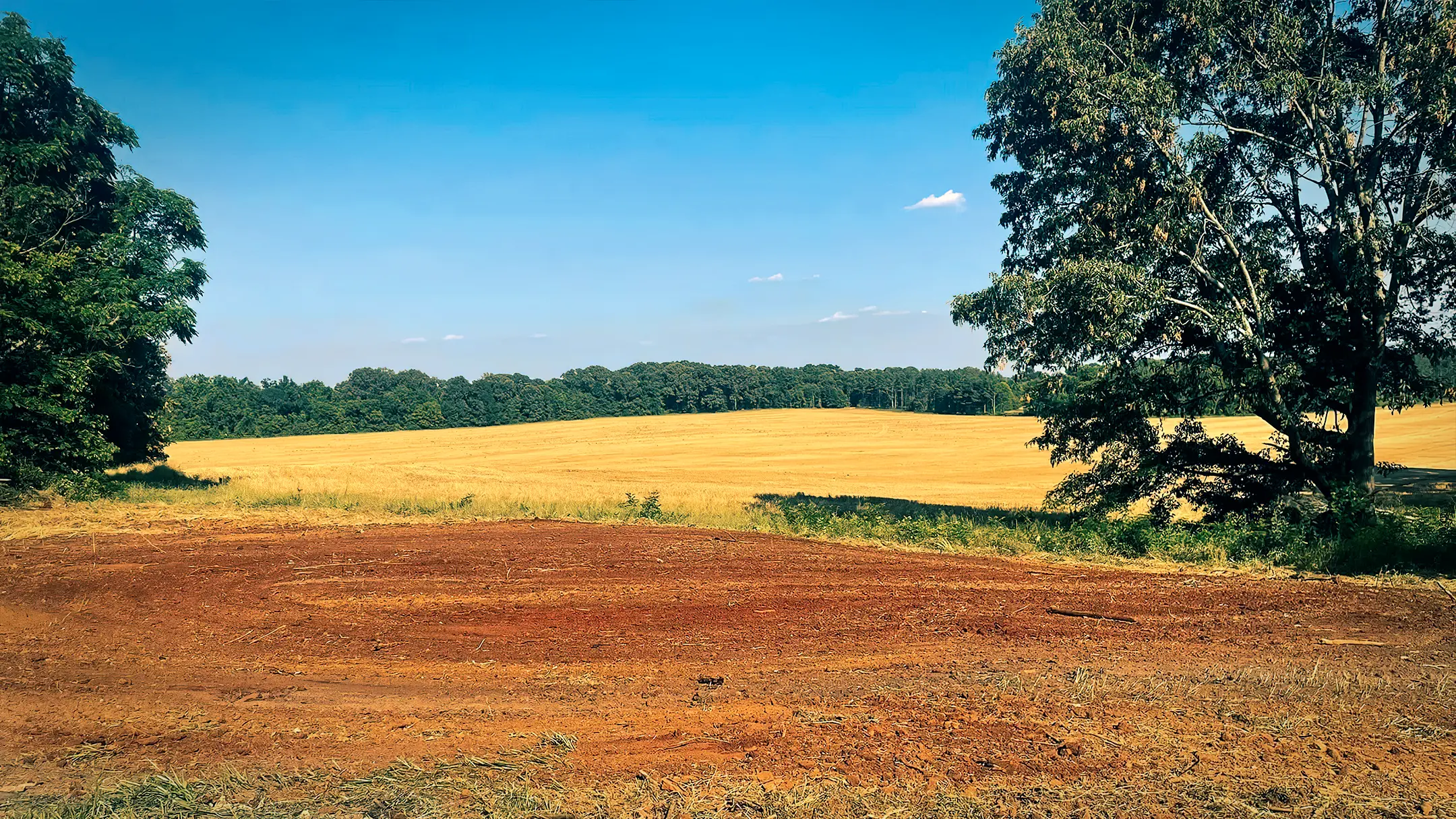 Farm field preparation and land clearing by Jim Greene