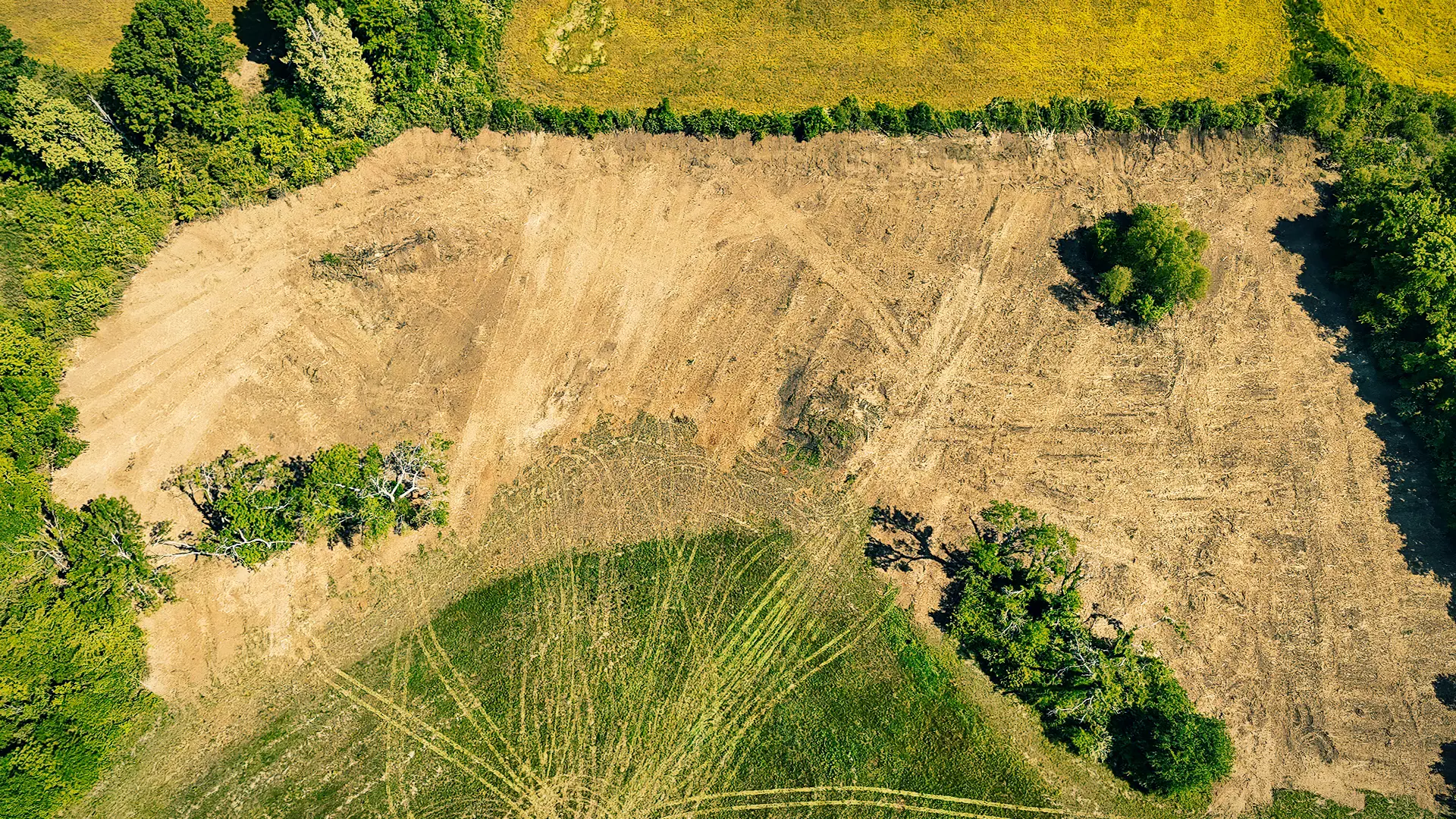 Aerial view of wooded area after land management by Jim Greene